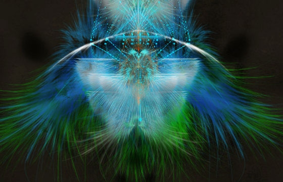 Tatiana Plakhova's Complexity Graphics