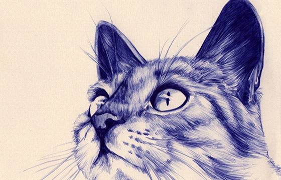Kleinmeli's Ballpoint Animals