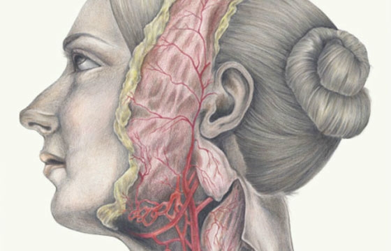 Jessica Jenkins Life Drawings