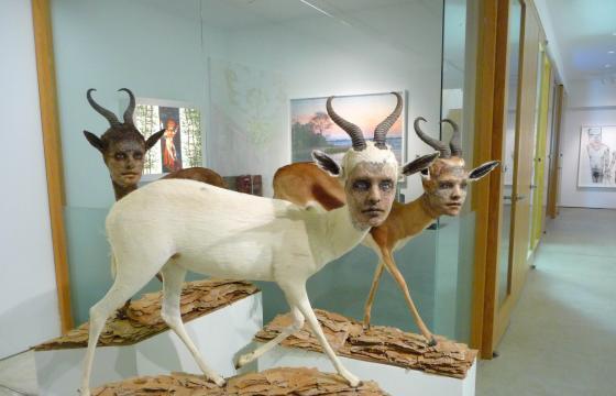 Manimal Sculptures by Kate Clark