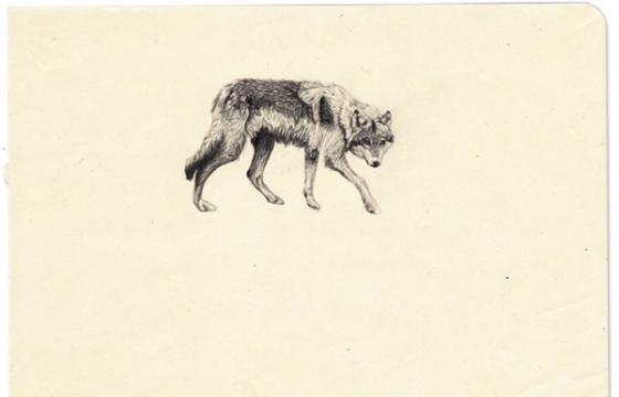 Amy Dover's Lone Wolf