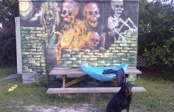 Backyard Bones