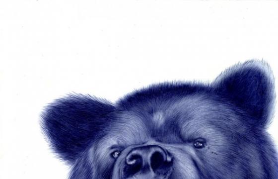Bic Pen Drawings by Sarah Esteje
