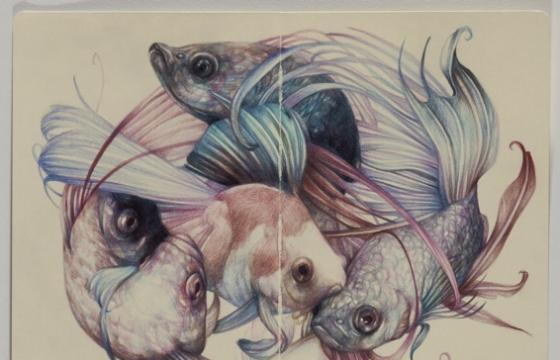 Marco Mazzoni "Memory is a Bothersome Consoler" @ Patricia Armocida, Milan