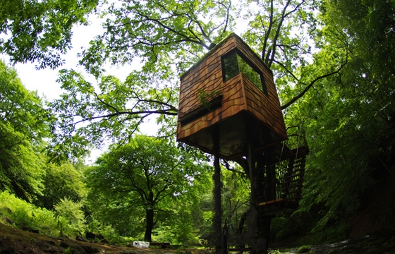 Treehouses by Takashi Kobayashi