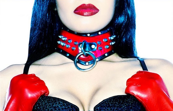 The Kinky World of Justice Howard