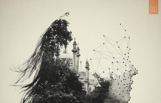 The Work of Dan Mountford