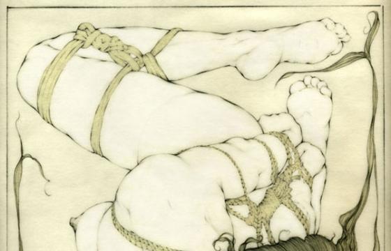 Van Rijnall's Nudes