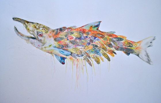 Illustrations and Paintings by Megan Diddie