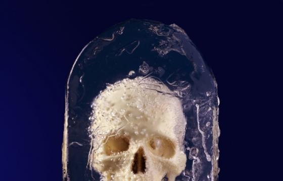 Death Pop and other Conceptual Photographs by David Sykes
