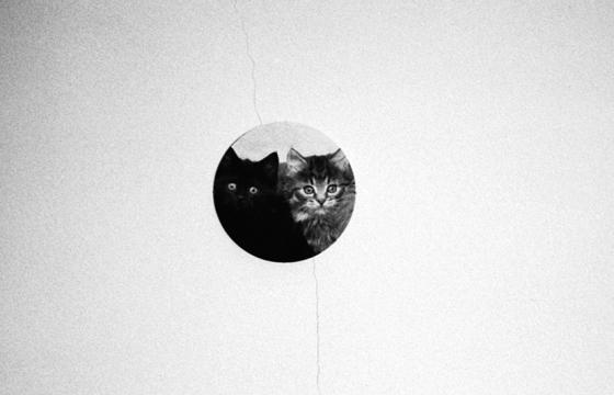 "Dyadic" Photo Series by Brendan Baker