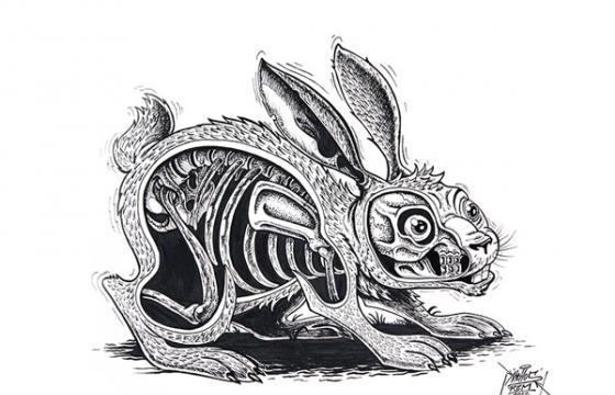 Rabbit Eye Movement and REM ARTSPACE