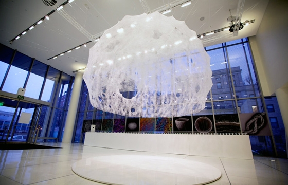 Watch: Silk Pavilion built with the help of 6,500 silkworms