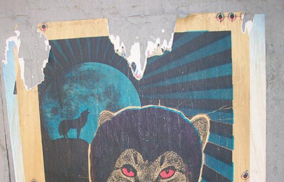 Cat Cult