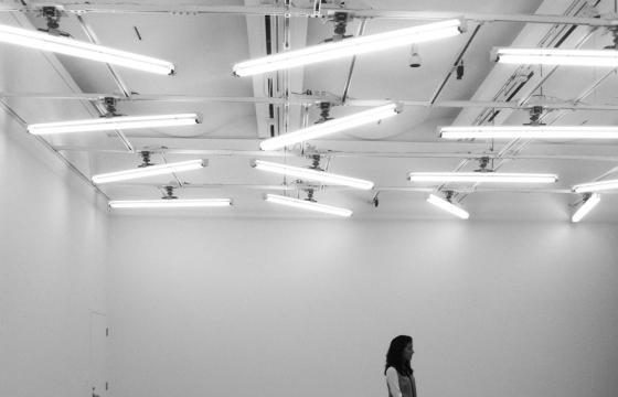 Tauba Auerbach's 50/50 Floor in "Field Conditions" @ SFMoMA