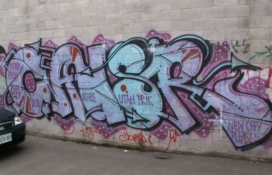 FRIDAY SPOTLIGHT: CAUSR