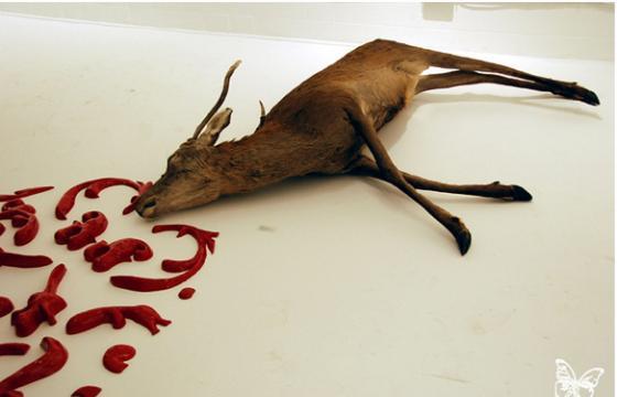 "Wild Life" Winter Group Show @ Stolenspace, London