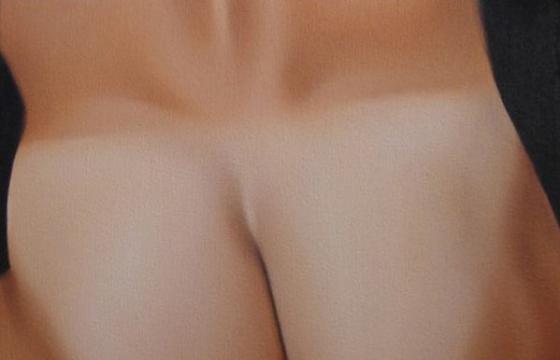 The Male Anatomy