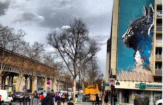 C215 creates large Cat Portrait in Paris