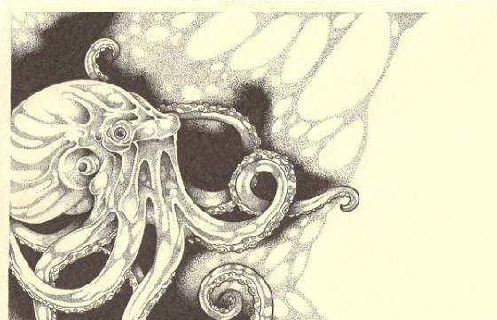 Jefferson Smith Illustration