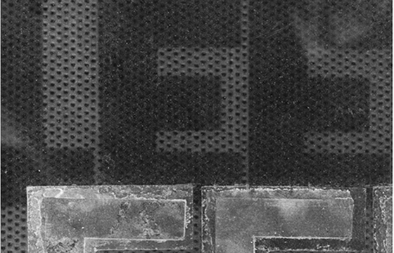 Lee Friedlander - The Printed Picture @ Pratt Brooklyn Campus Library