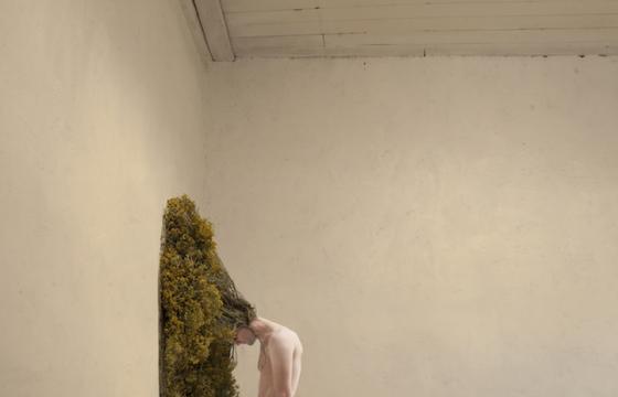 Photography of Jennifer B. Hudson 