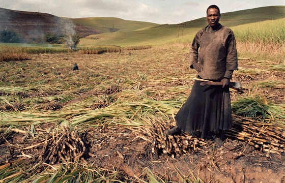 Portraits of South Africans residents by Zwelethu Mthethwa