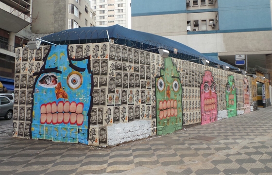 Video: The WallRide Project in Sao Paulo, Brazil