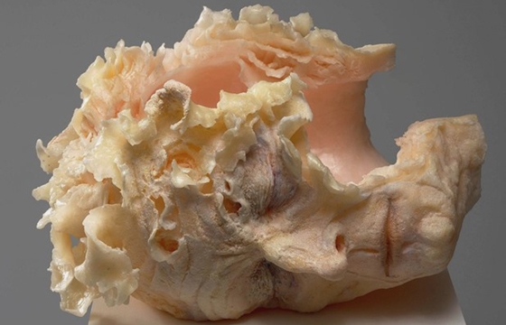 Sculptures by Rebecca Stevenson