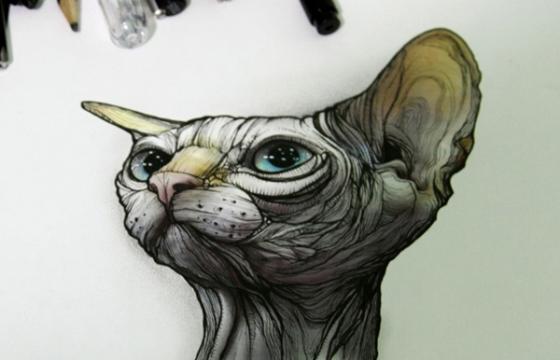 Illustrations from Thiago Akira