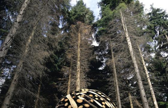 Wood Sculptures by Jaehyo Lee