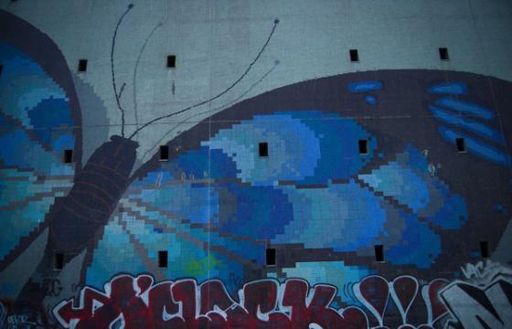 Oclock's Butterfly Effect