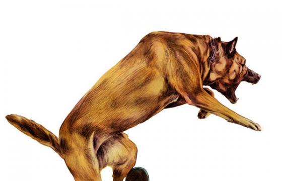 Giuse's Anthropomorphic Animals