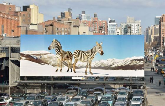 Paola Pivi on the High Line Billboard, NYC