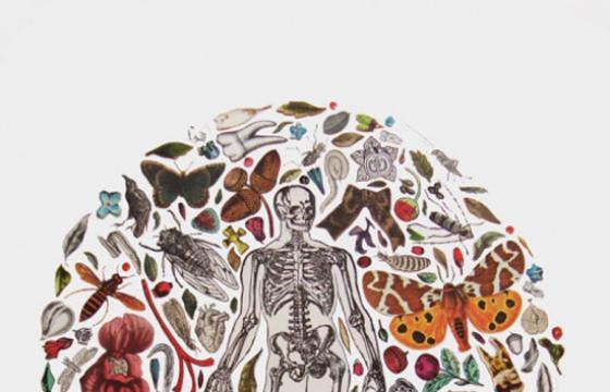 Collages by Adrienne Slane