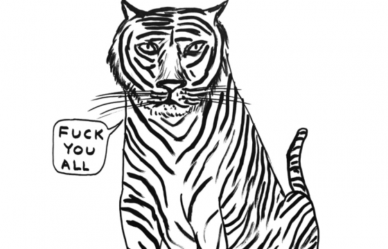 F$ck You All and Other Works by David Shrigley in "Lockdown Drawings"