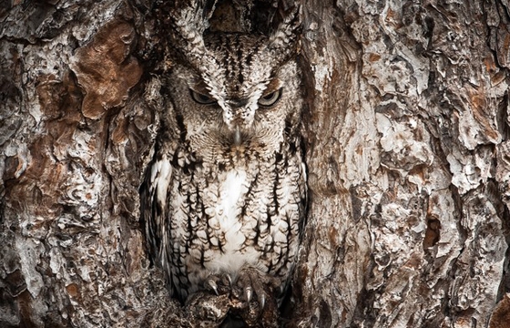 National Geographic Traveler Photo Contest Winners