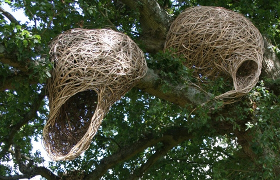 Laura Bacon's Nest-Like Sculptures