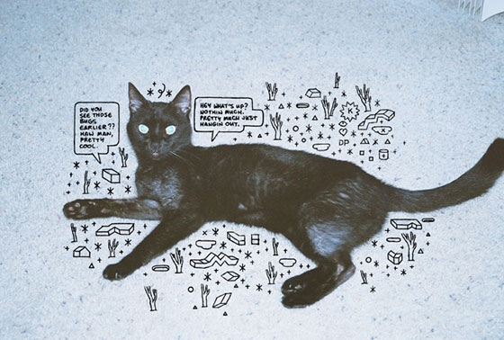 Cartoonist Alex Schubert