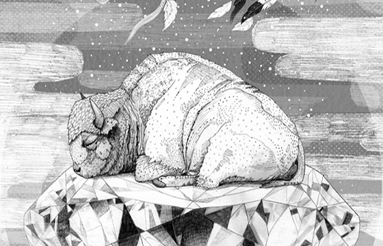 "Womanimal" Sandra Dieckmann