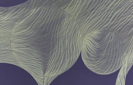 Wall Drawings by Linn Meyers at the Hammer Museum