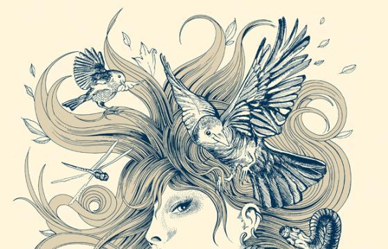 Rachel Caldwell Illustrations