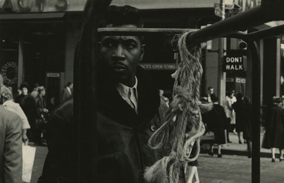 Photographs by Louis Draper