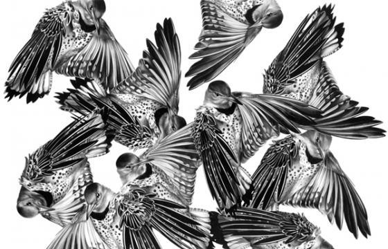 The Art of Christina Empedocles