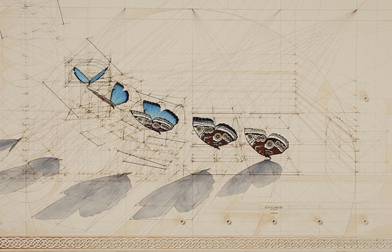 "Calculation" Drawings by Rafael Araujo