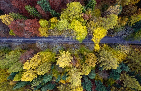 Aerial photography by Kacper Kowalski