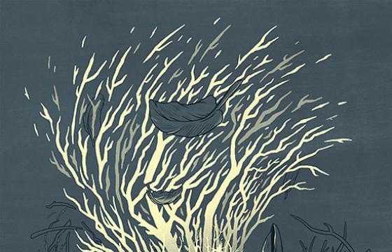 Brian Luong's Flora & Fauna