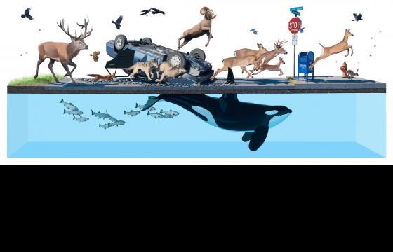 Opening Tonight: Josh Keyes and AJ Fosik @ Jonathan LeVine Gallery