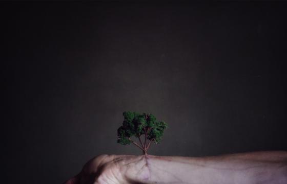 The Surreal Photography of Joel Robinson