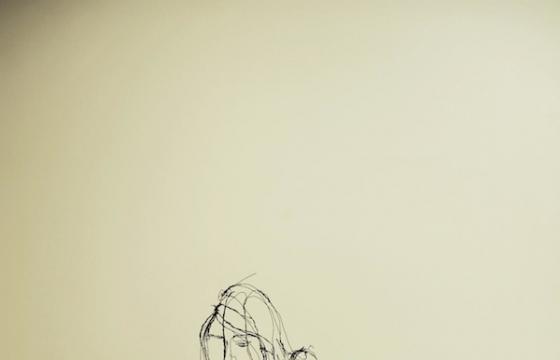 "Floating" Wire Sculptures by David Oliveira